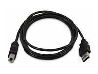 StarTech.com - USB-kabel - TAA-samsvar - USB (hann) til USB-type B (hann) - USB 2.0 - 1.8 m SKUSBAB06-TAA