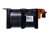Dell Very High Performance - Vifteenhet - kundesett - Arve garantien til Dell-systemet eller 1 års maskinvaregaranti - for PowerEdge R660xs 384-BDLK
