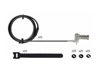 StarTech.com 25-Pack Laptop Lock, Compatible w/Noble Wedge/Nano/K-Slot - Sikkerhetskabellås - sølv, svart - 2 m - TAA-samsvar (en pakke 25) UNIVCS25-LAPTOP-LOCK