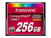 Transcend Premium - Flashminnekort - 256 GB - 800x - CompactFlash TS256GCF800