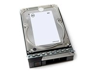 Dell - Customer Kit - harddisk - 4 TB - 512n, ISE - 3.5" - SAS 12Gb/s - 7200 rpm - for PowerEdge T160 400-BRDF