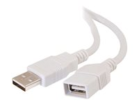 C2G 3.3ft USB Extension Cable - USB A to USB A Extension Cable - USB 2.0 - White - M/F - USB-kabel - USB (hann) til USB (hunn) - 0.9 m 19003