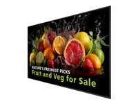 Philips 98BDL5050D - 98" Diagonalklasse (97.5" synlig) - 5000 Series LED-bakgrunnsbelyst LCD-skjerm - intelligent skilting - Android - 4K UHD (2160p) 3840 x 2160 98BDL5050D/00