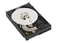 Dell - Harddisk - 8 TB - hot-swap - 3.5" - SATA 6Gb/s - 7200 rpm 400-AHID