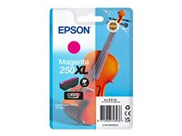 Epson 250XL - 8.9 ml - XL - magenta - original - blister - blekkpatron C13T16P34010
