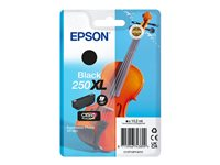 Epson 250XL - 10.2 ml - XL - svart - original - blister - blekkpatron C13T16P14010
