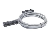 APC Data Distribution Cable - Nettverkskabel - TAA-samsvar - RJ-45 (hunn) til RJ-45 (hunn) - 1.5 m - UTP - CAT 5e - riser - grå DDCC5E-005