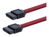StarTech.com 12in SATA Serial ATA Cable - SATA cable - Serial ATA 150/300 - SATA (F) to SATA (F) - 1 ft - red - SATA12 - SATA-kabel - Serial ATA 150/300 - SATA (hunn) til SATA (hunn) - 30.5 cm - rød - for P/N: 10P6G-PCIE-SATA-CARD, 2P6G-PCIE-SATA-CARD, 4P6G-PCIE-SATA-CARD, 6P6G-PCIE-SATA-CARD SATA12