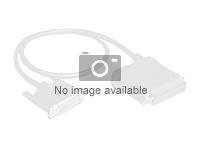 WD - SAS intern kabel - Mini SAS HD (SFF-8643) til Mini SAS HD (SFF-8643) - 2 m (en pakke 2) 1EX1531